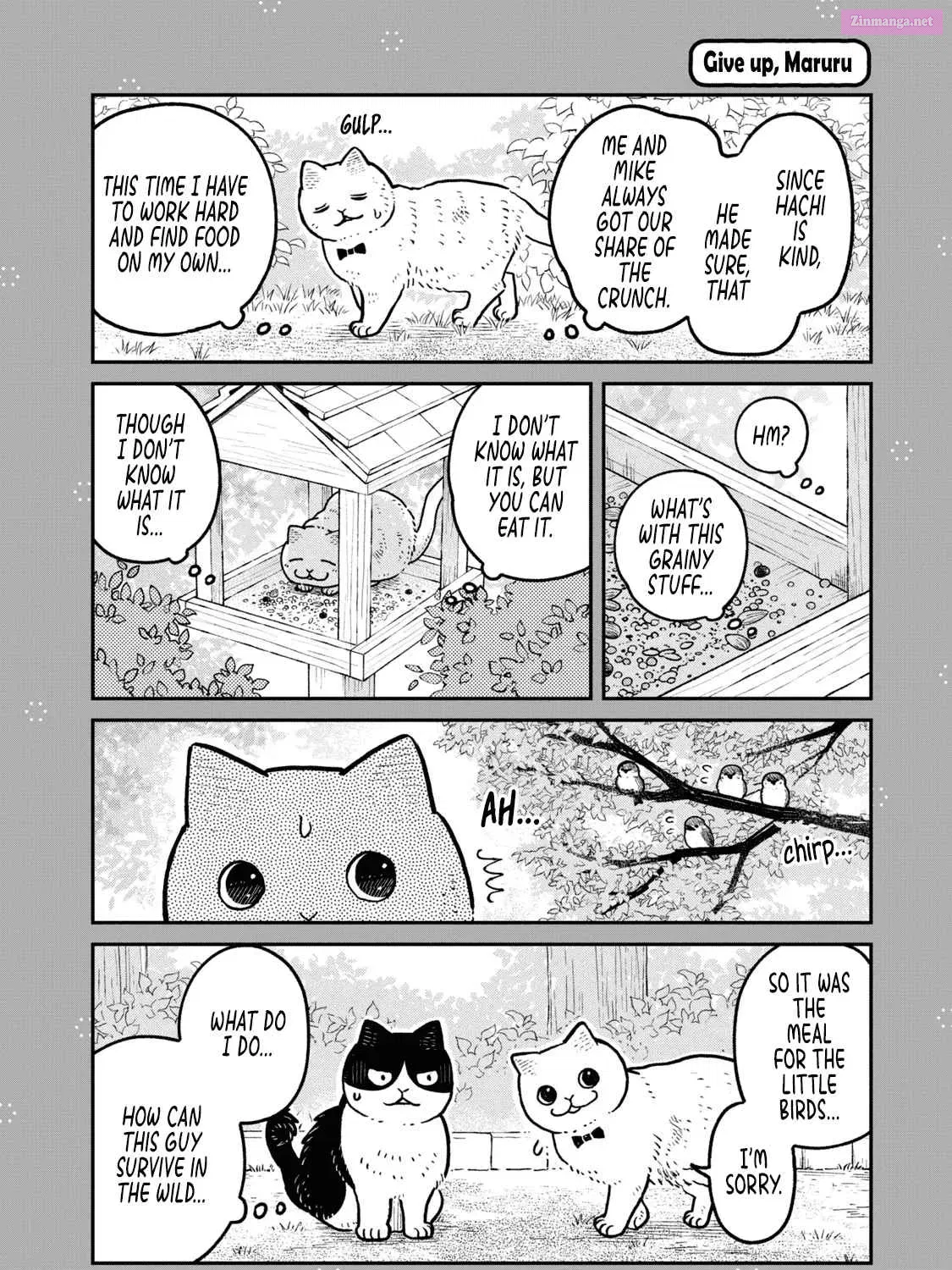 Tsureneko:  Maruru to Hachi Zinmanga X Chapter 18.1 Page 9