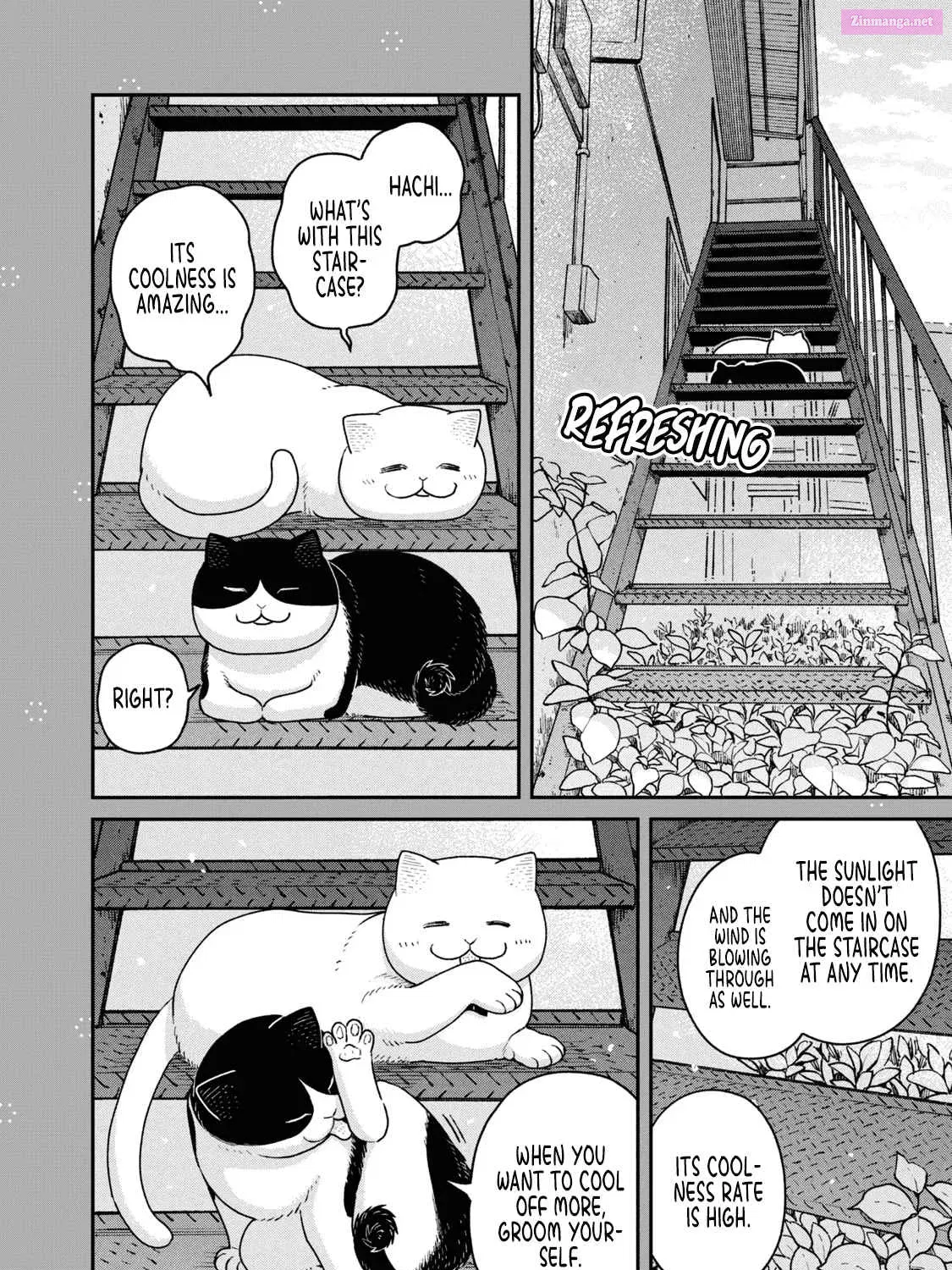 Tsureneko:  Maruru to Hachi Zinmanga X Chapter 18.1 Page 13