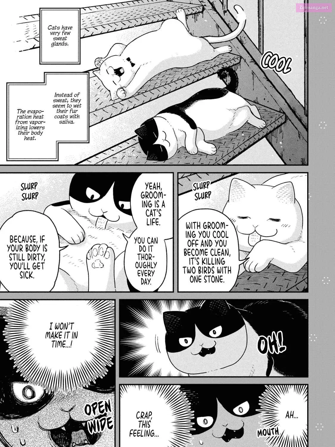 Tsureneko:  Maruru to Hachi Zinmanga X Chapter 18.1 Page 15