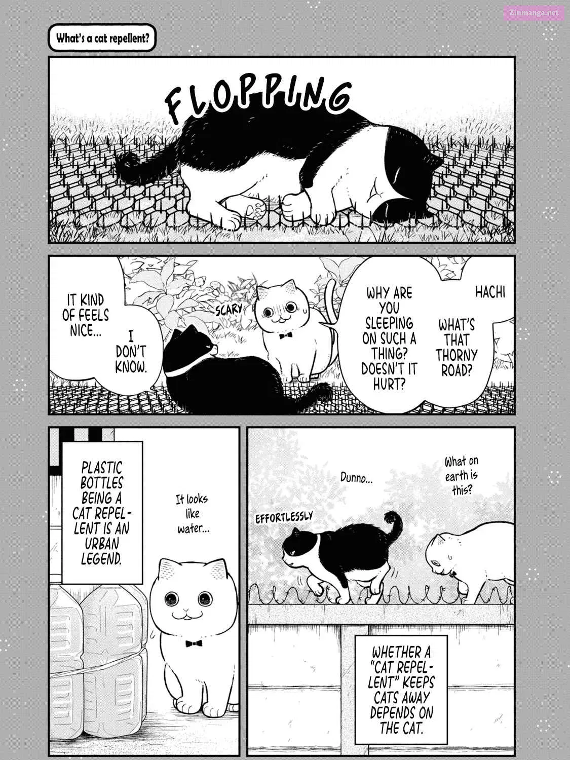 Tsureneko:  Maruru to Hachi Zinmanga X Chapter 18.1 Page 19