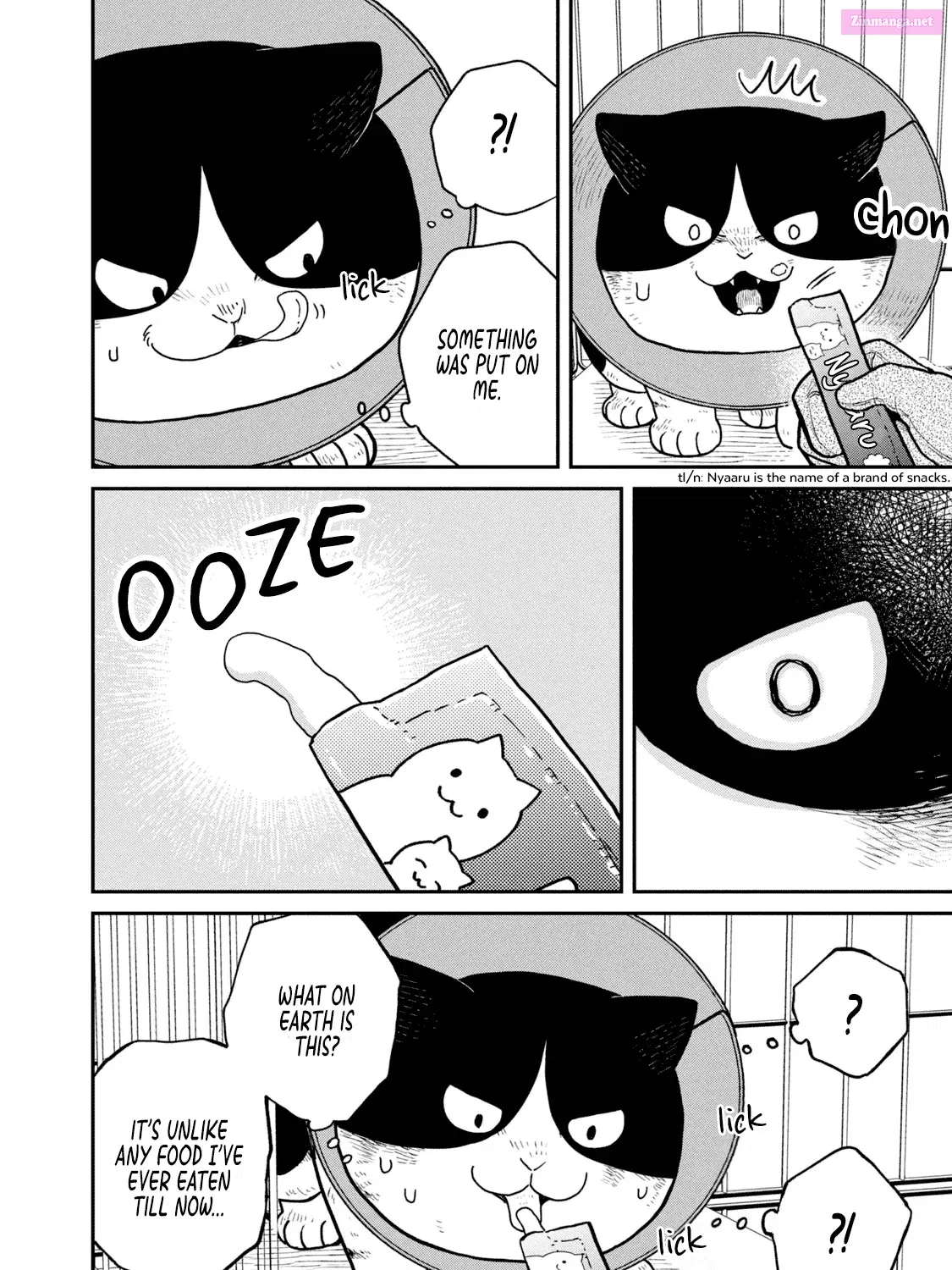 Tsureneko:  Maruru to Hachi Zinmanga X Chapter 16 Page 8