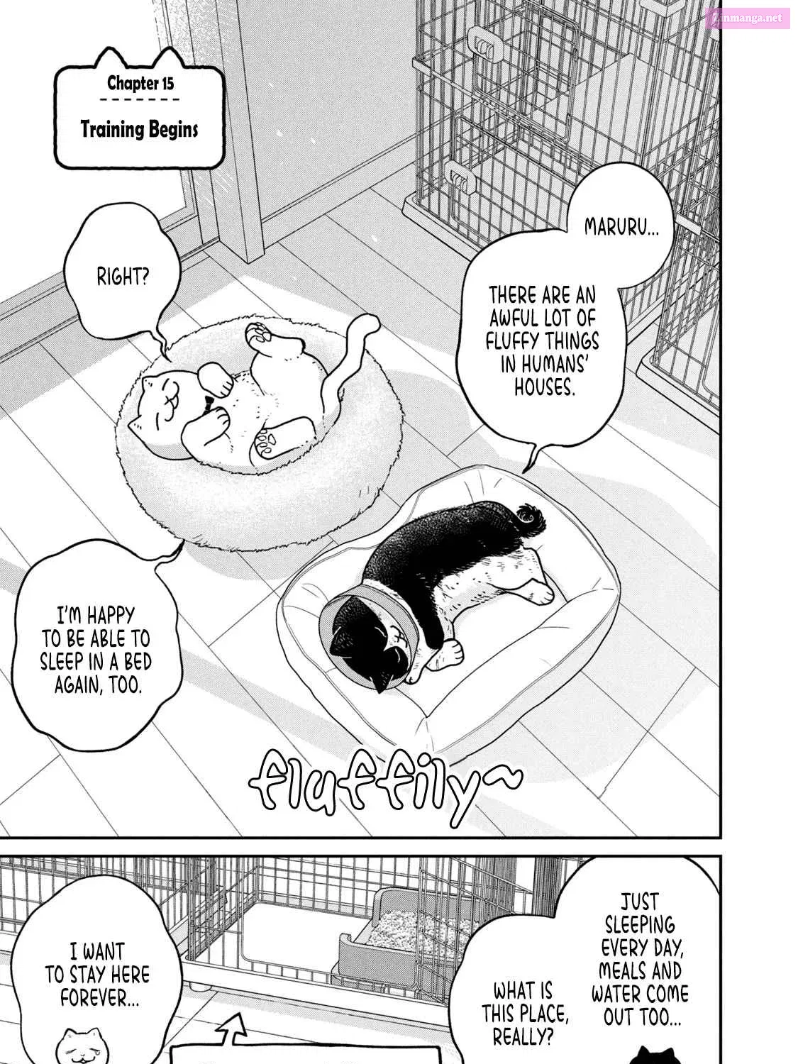 Tsureneko:  Maruru to Hachi Zinmanga X Chapter 15 Page 2