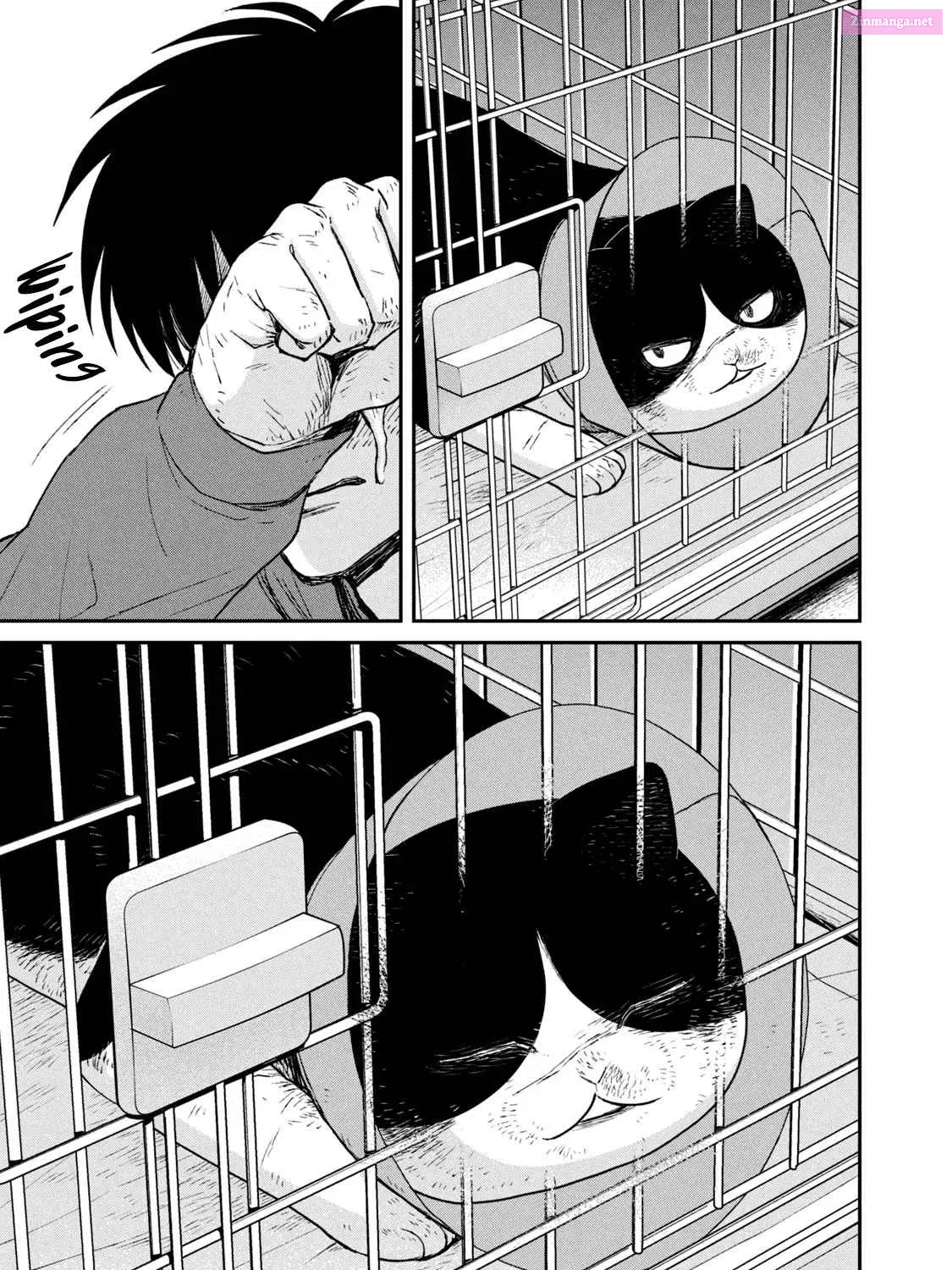Tsureneko:  Maruru to Hachi Zinmanga X Chapter 13 Page 18