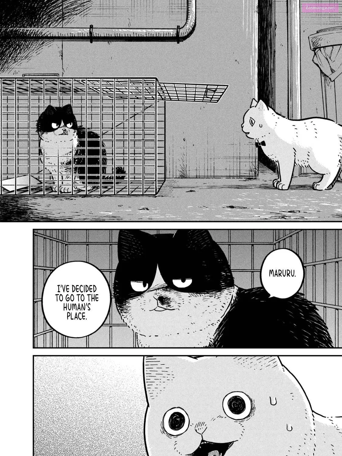 Tsureneko:  Maruru to Hachi Zinmanga X Chapter 12 Page 4