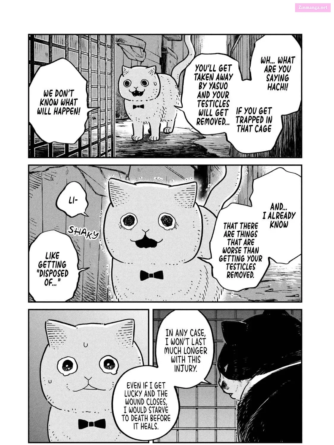 Tsureneko:  Maruru to Hachi Zinmanga X Chapter 12 Page 6