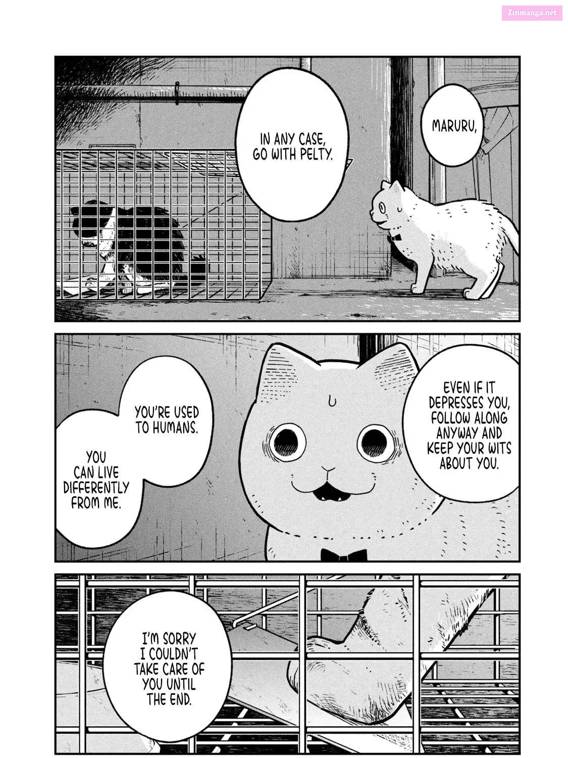 Tsureneko:  Maruru to Hachi Zinmanga X Chapter 12 Page 8