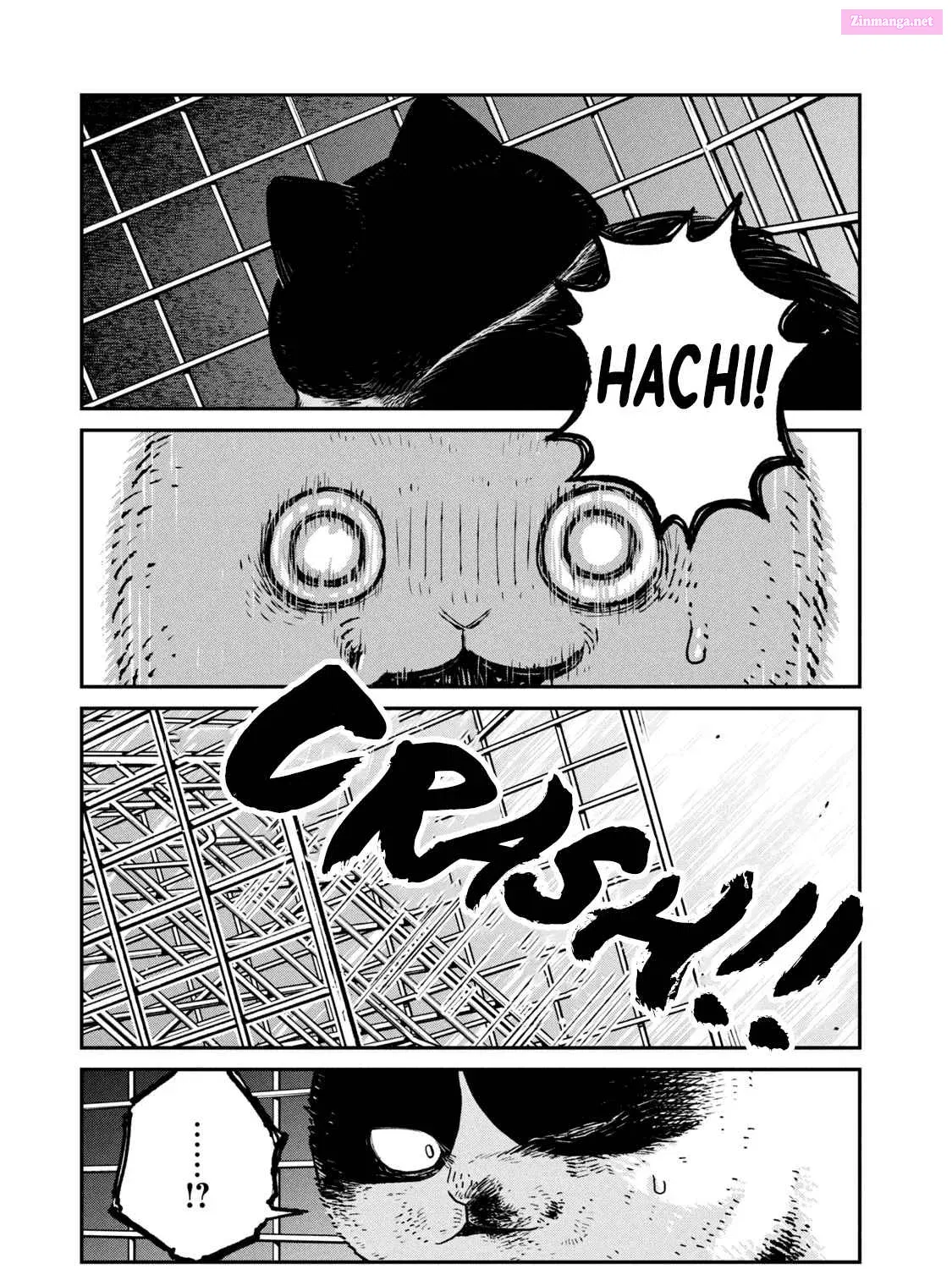 Tsureneko:  Maruru to Hachi Zinmanga X Chapter 12 Page 10