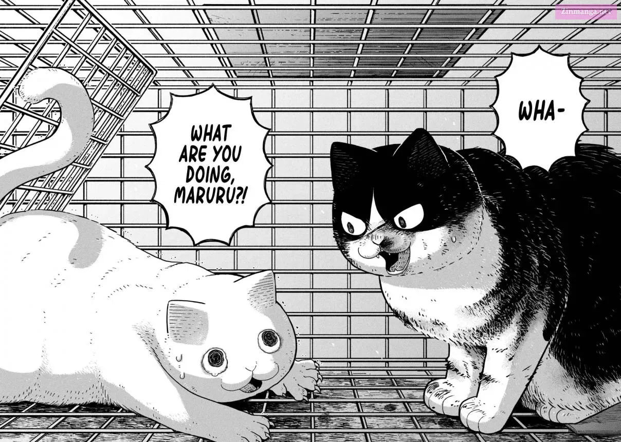 Tsureneko:  Maruru to Hachi Zinmanga X Chapter 12 Page 12