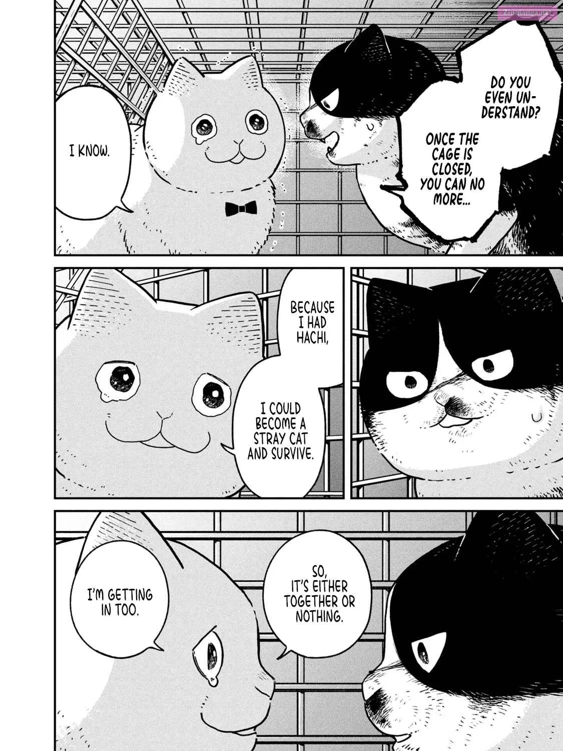 Tsureneko:  Maruru to Hachi Zinmanga X Chapter 12 Page 13