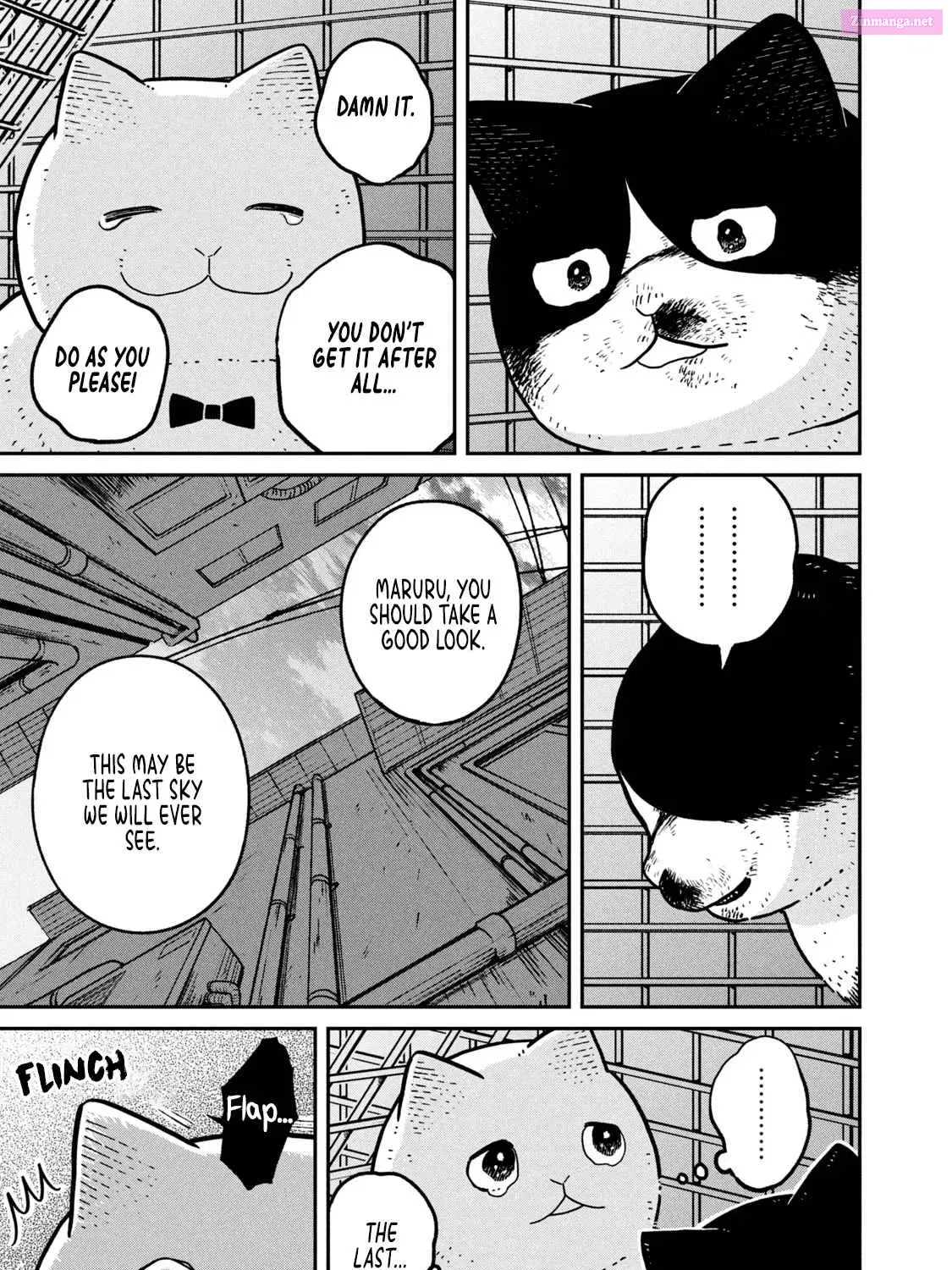 Tsureneko:  Maruru to Hachi Zinmanga X Chapter 12 Page 15