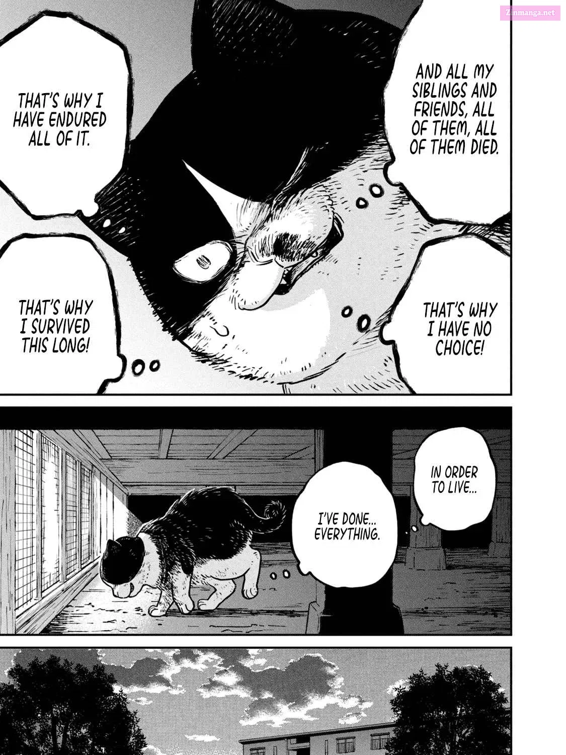 Tsureneko:  Maruru to Hachi Zinmanga X Chapter 11 Page 14