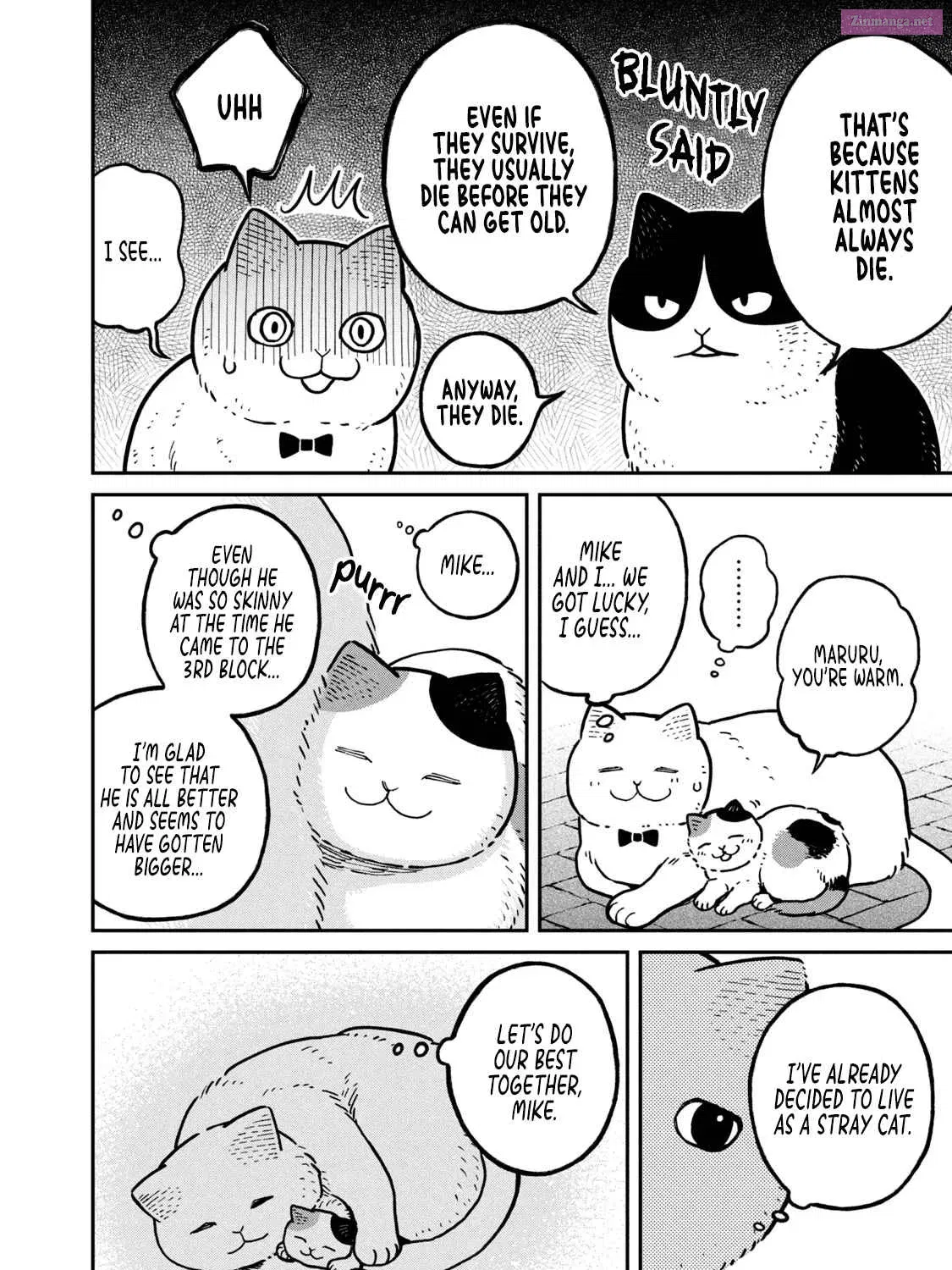 Tsureneko:  Maruru to Hachi Zinmanga X Chapter 6 Page 8