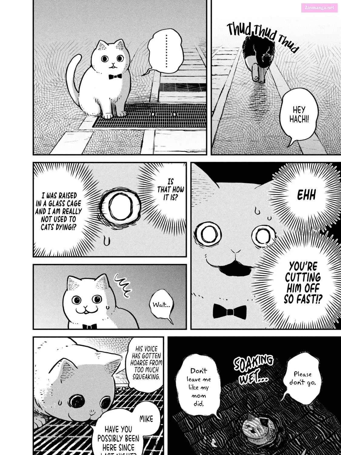 Tsureneko:  Maruru to Hachi Zinmanga X Chapter 6 Page 16