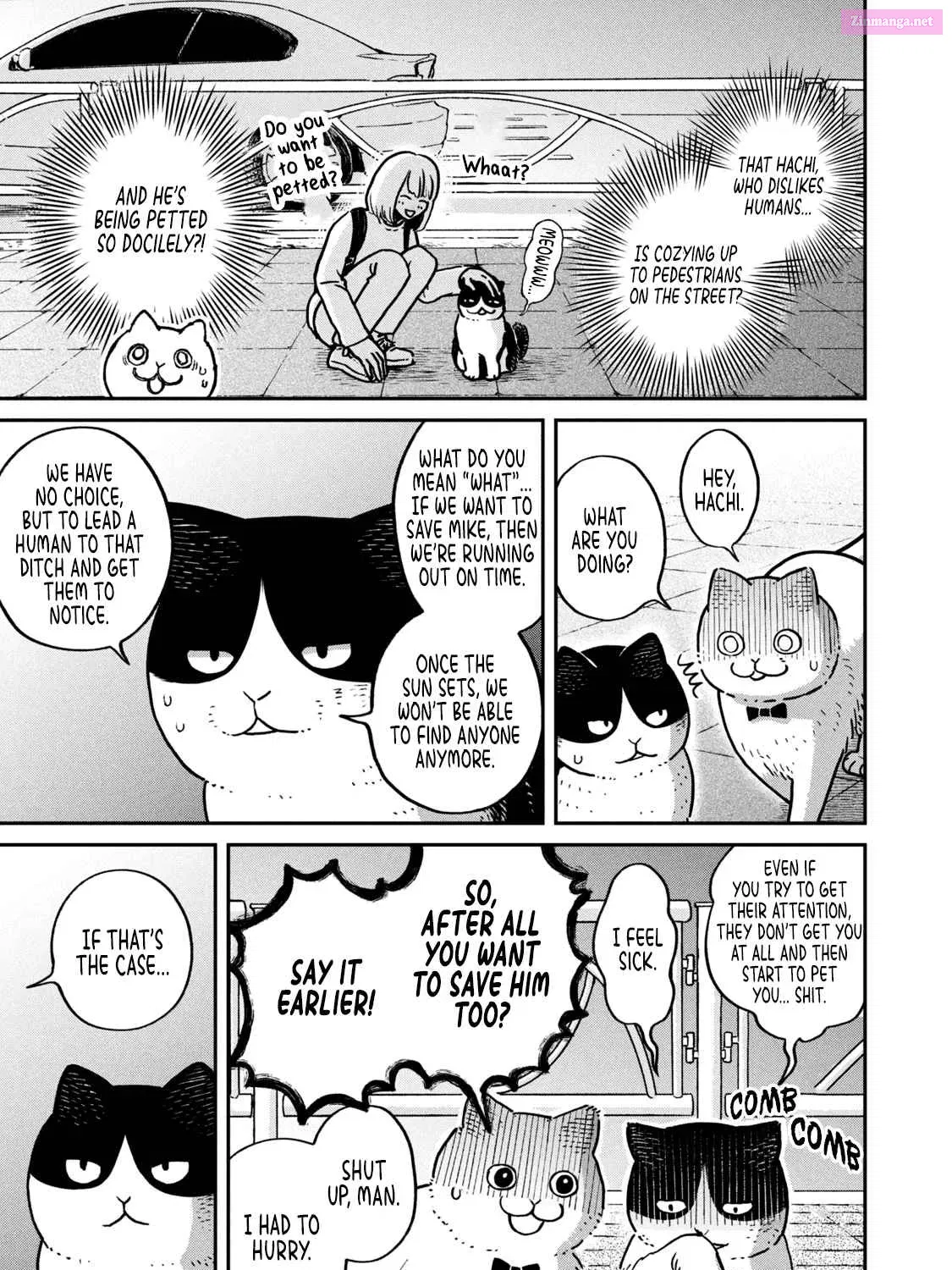 Tsureneko:  Maruru to Hachi Zinmanga X Chapter 6 Page 22