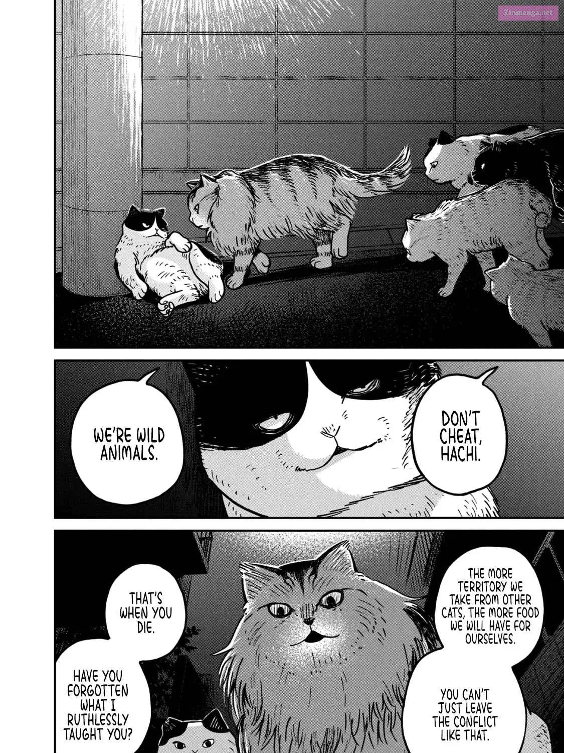 Tsureneko:  Maruru to Hachi Zinmanga X Chapter 5 Page 8