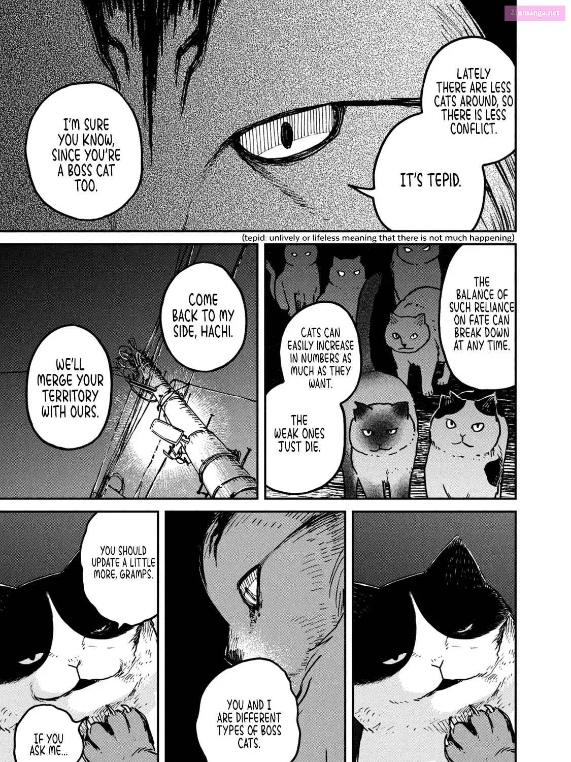 Tsureneko:  Maruru to Hachi Zinmanga X Chapter 5 Page 10