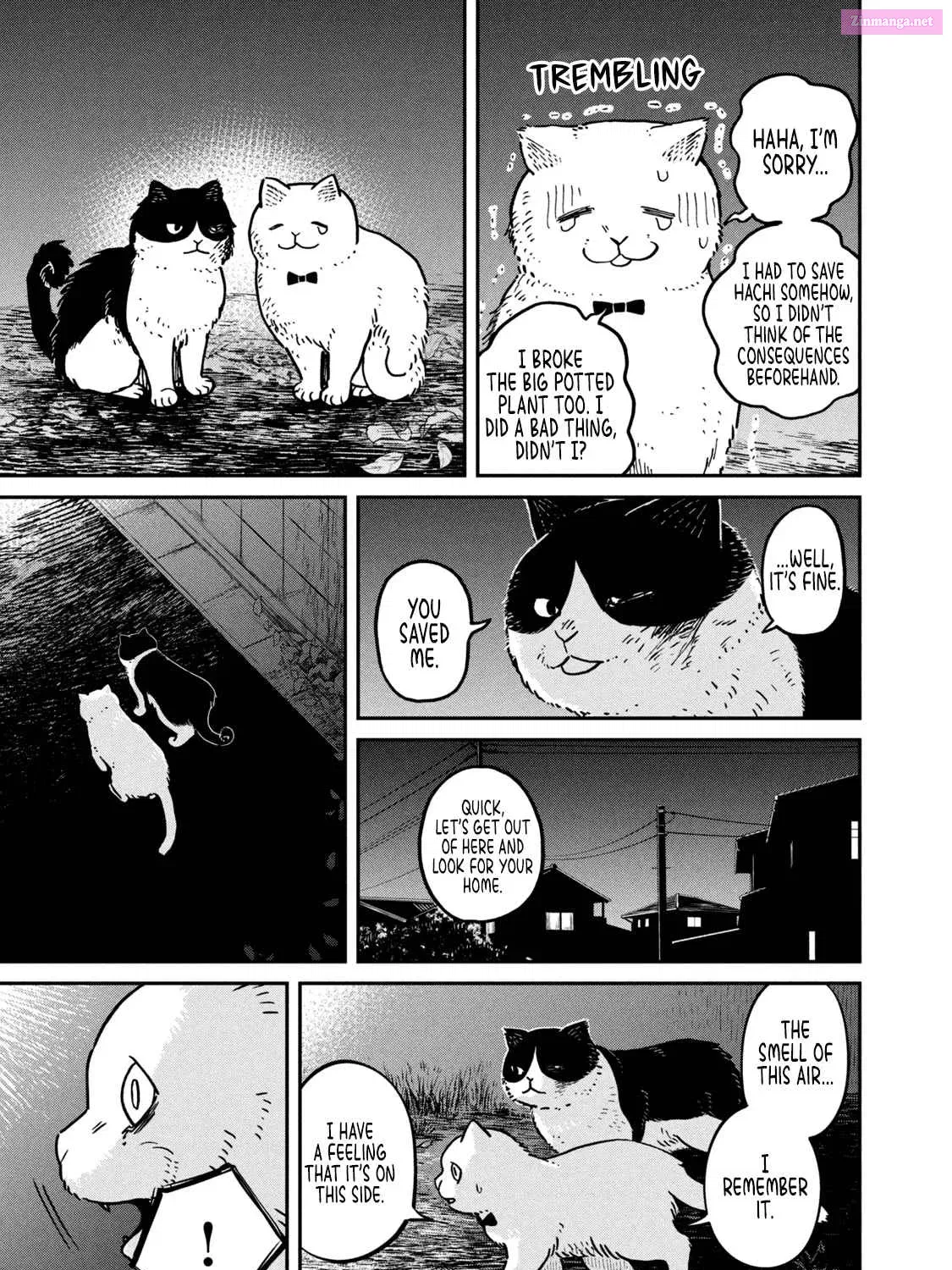 Tsureneko:  Maruru to Hachi Zinmanga X Chapter 5 Page 18