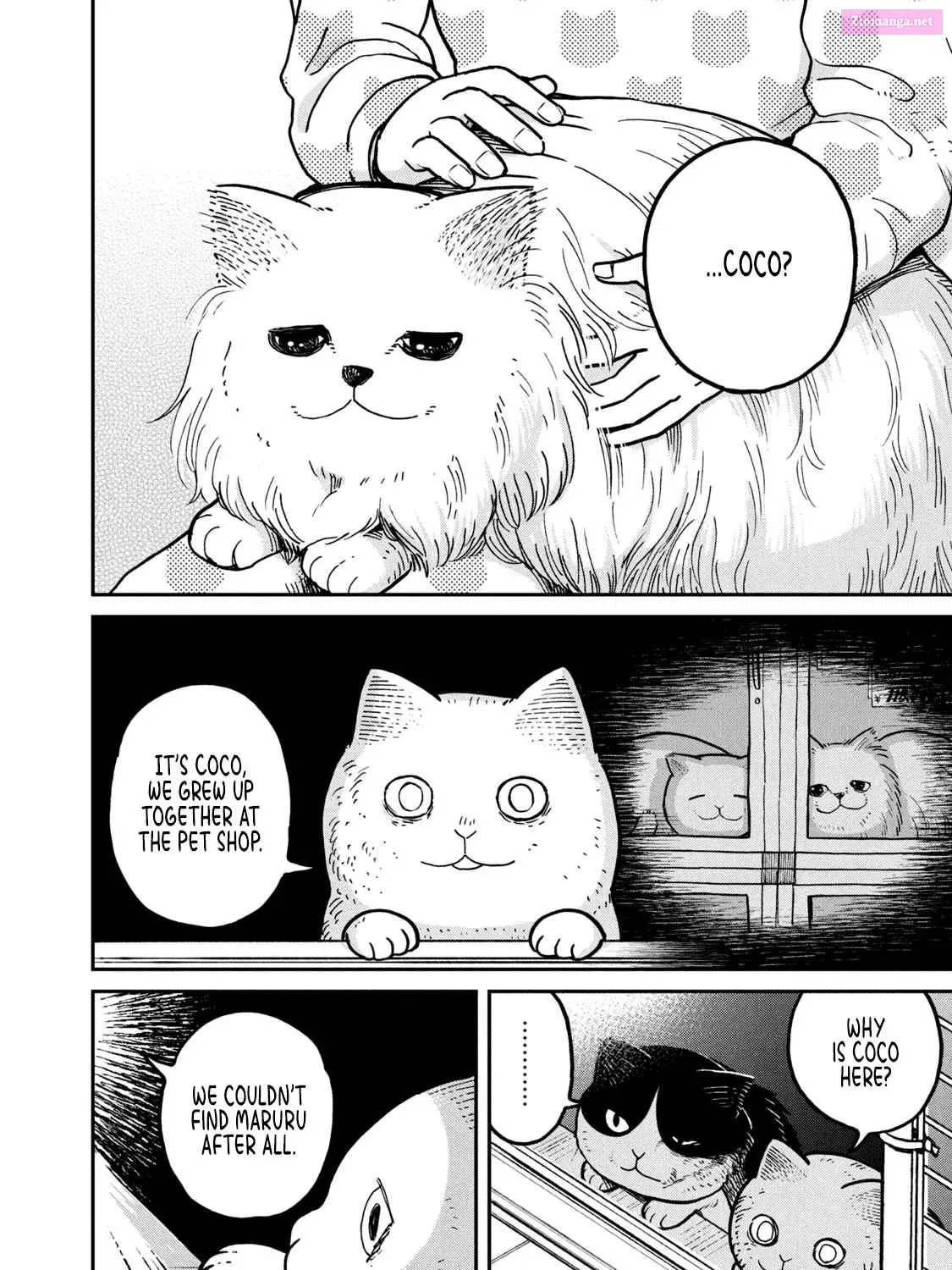 Tsureneko:  Maruru to Hachi Zinmanga X Chapter 5 Page 24