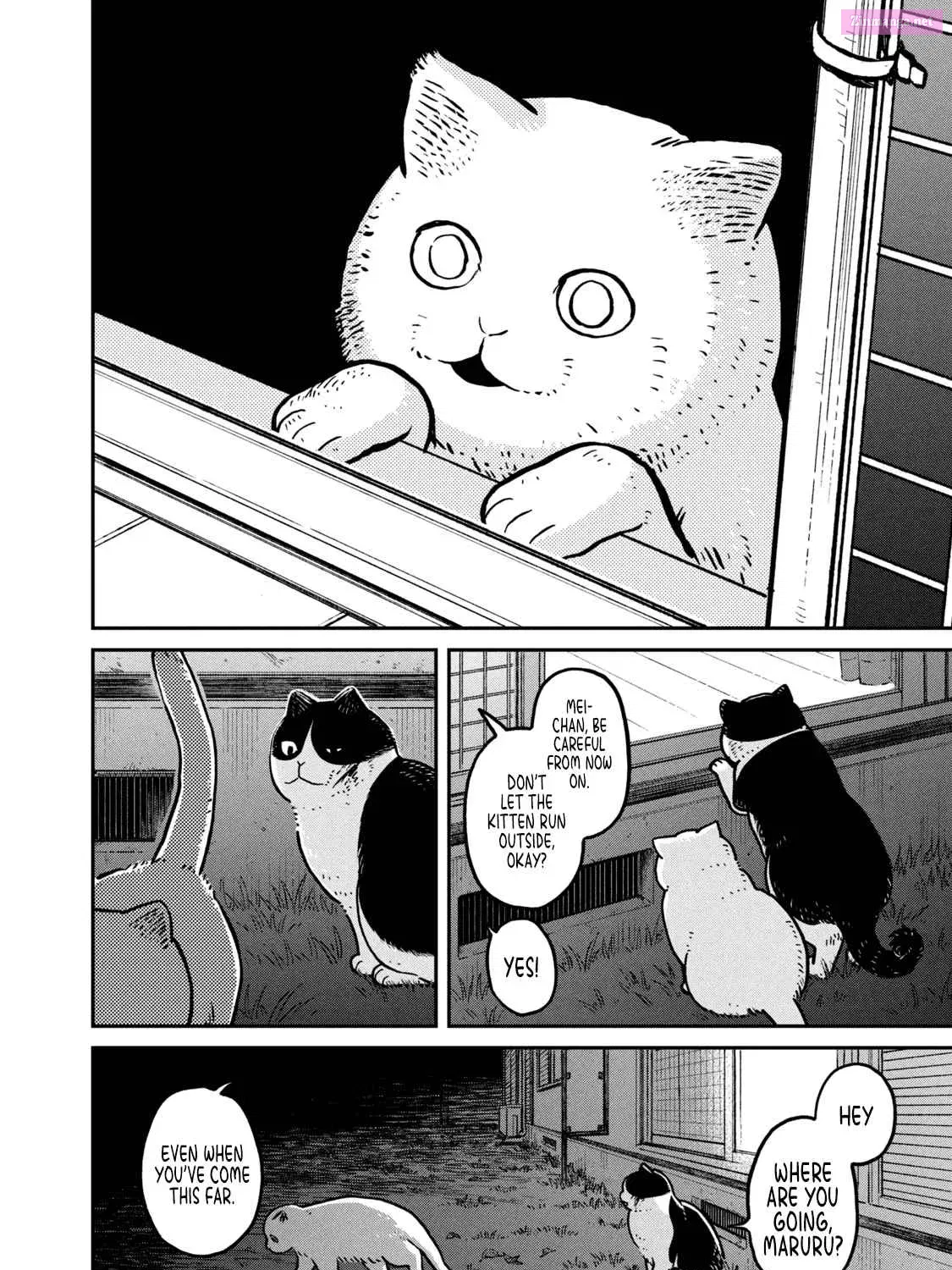 Tsureneko:  Maruru to Hachi Zinmanga X Chapter 5 Page 28