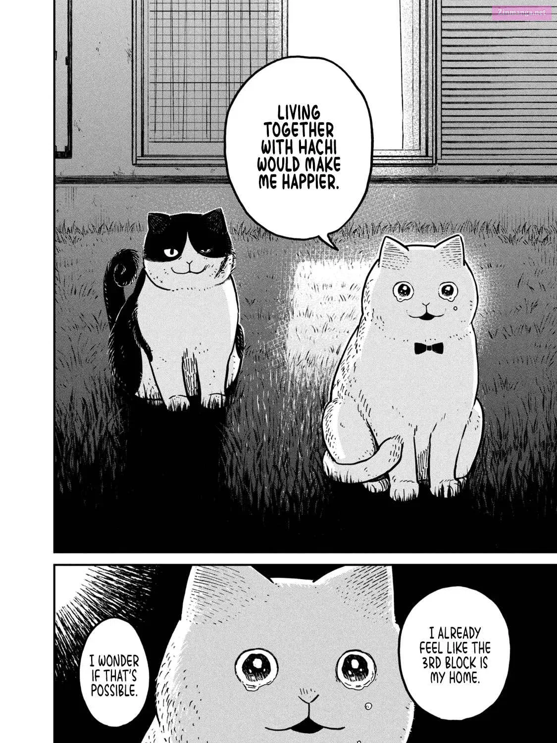 Tsureneko:  Maruru to Hachi Zinmanga X Chapter 5 Page 32