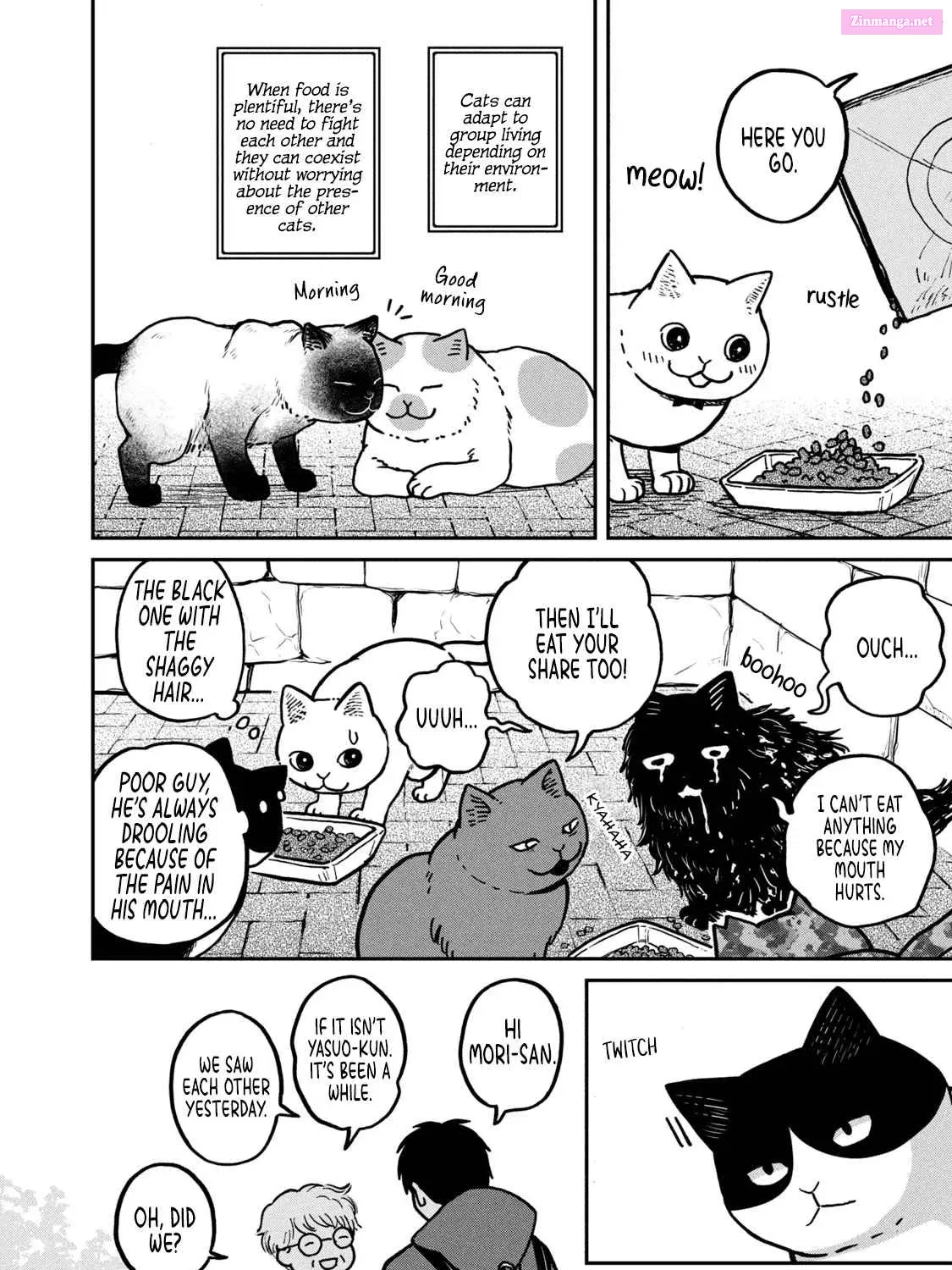 Tsureneko:  Maruru to Hachi Zinmanga X Chapter 2 Page 8