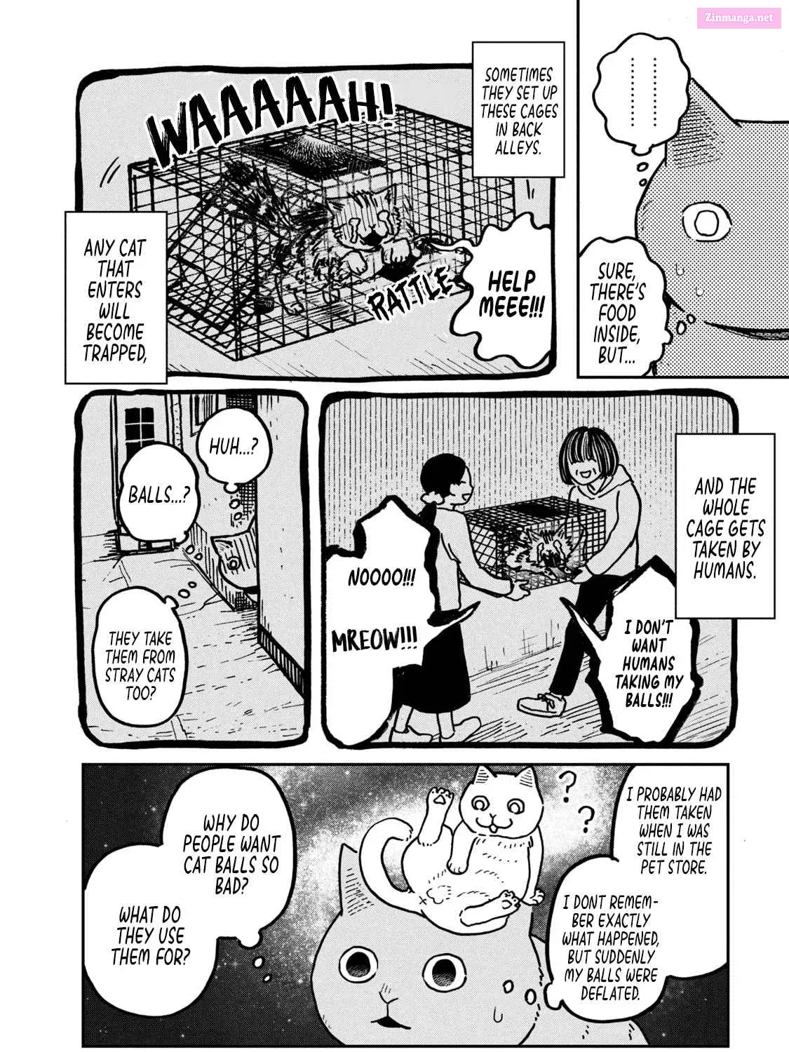 Tsureneko:  Maruru to Hachi Zinmanga X Chapter 2 Page 20