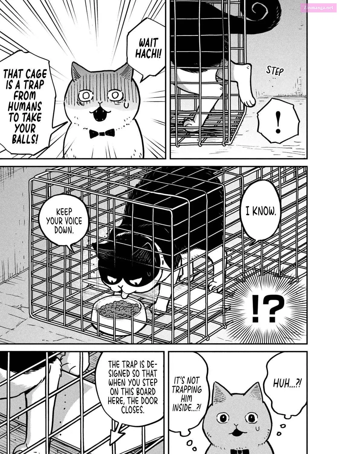 Tsureneko:  Maruru to Hachi Zinmanga X Chapter 2 Page 22
