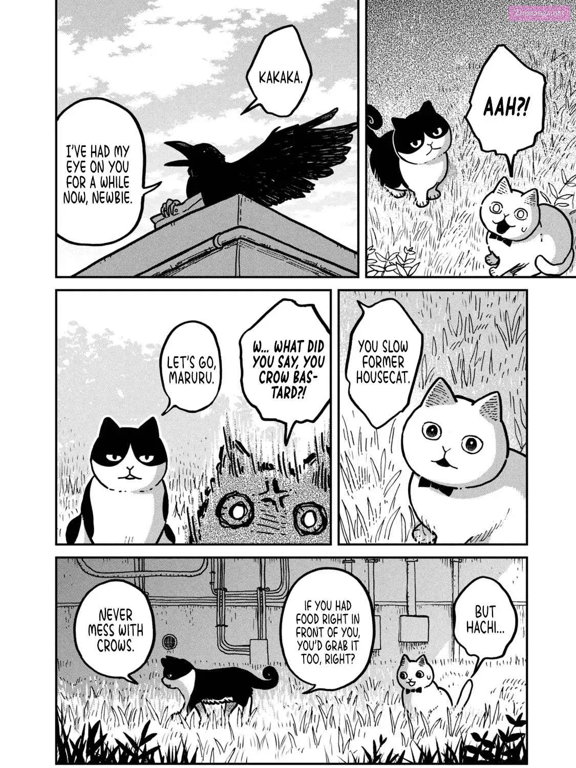Tsureneko:  Maruru to Hachi Zinmanga X Chapter 2 Page 32