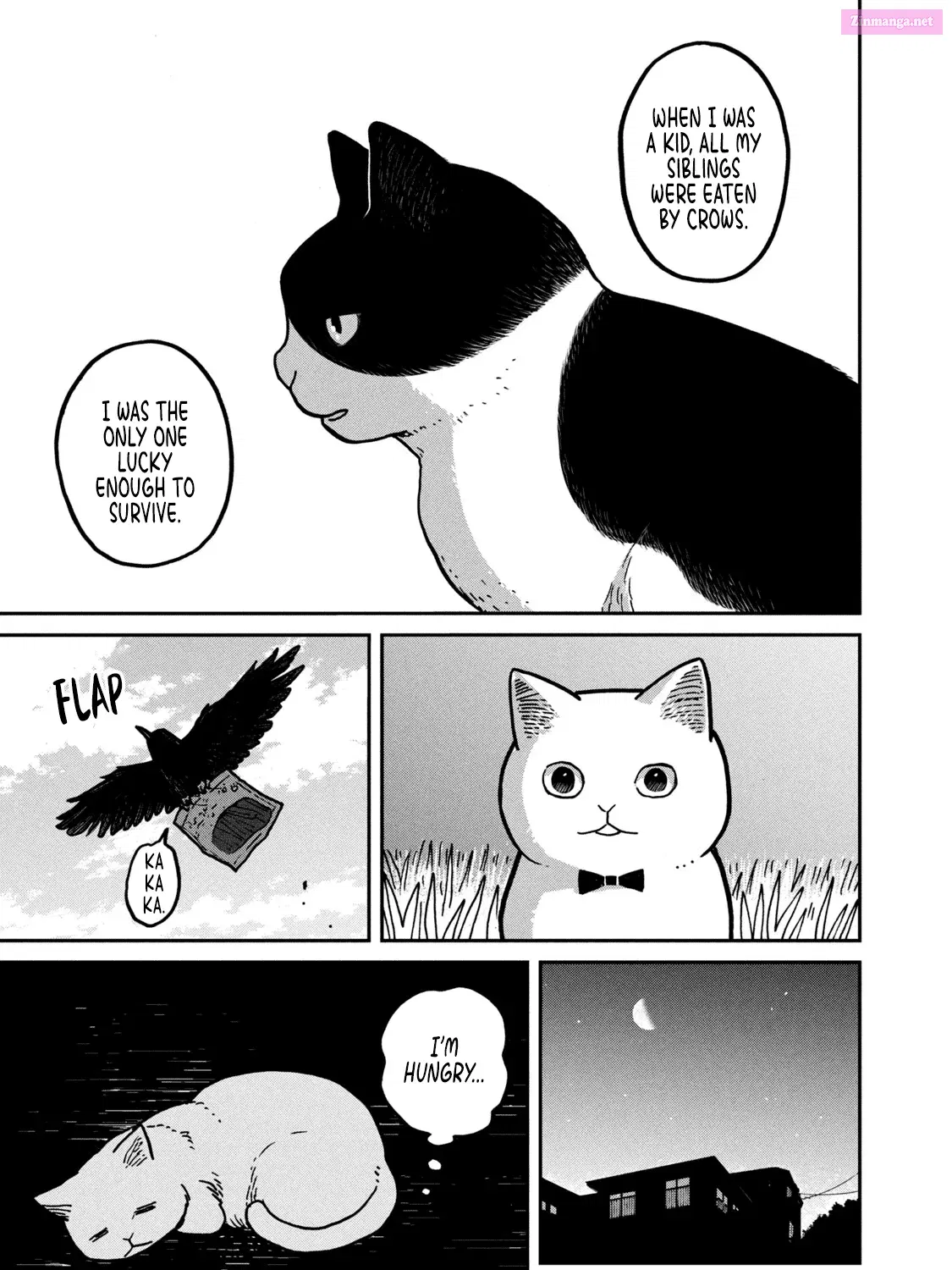 Tsureneko:  Maruru to Hachi Zinmanga X Chapter 2 Page 34