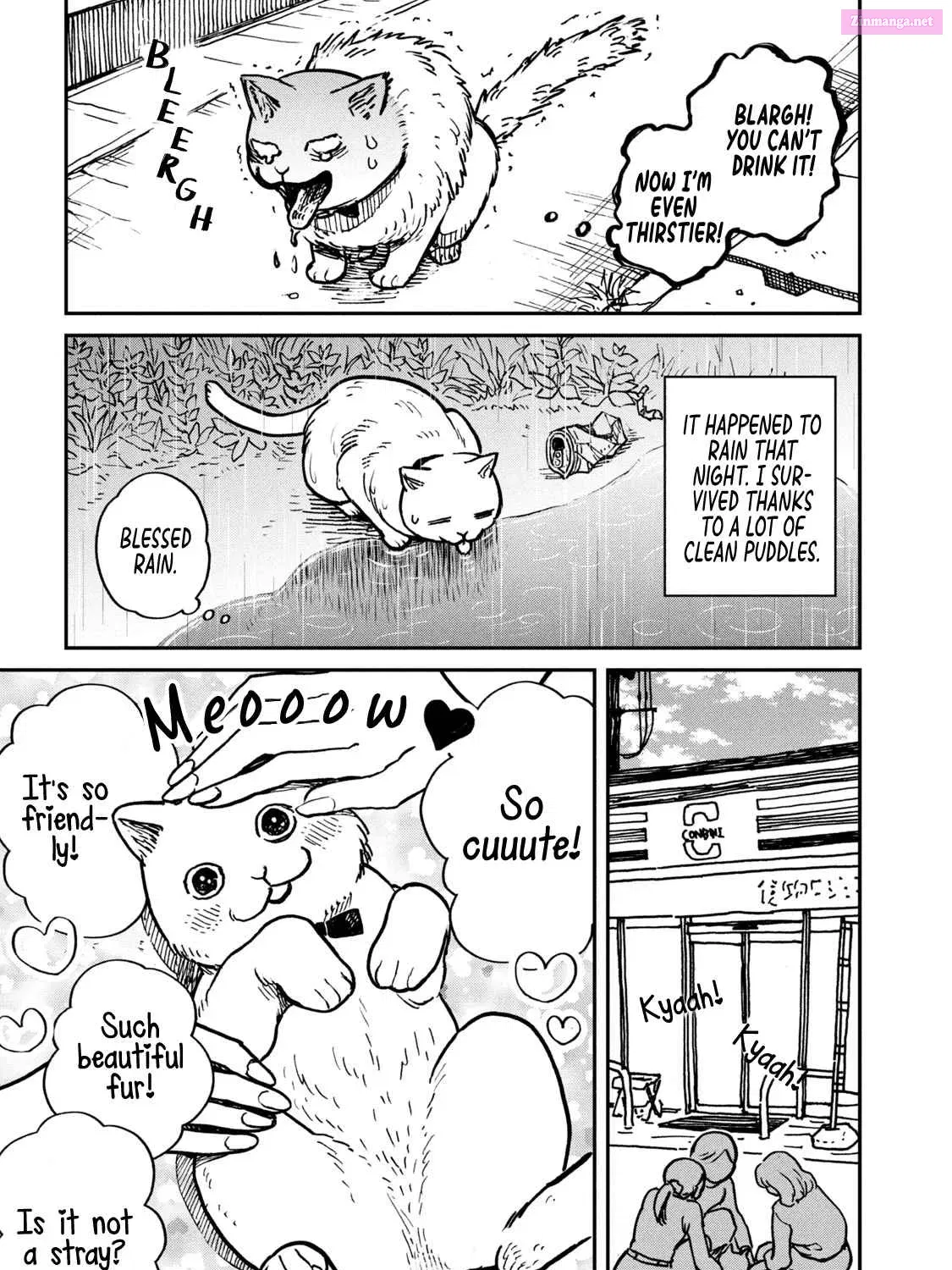 Tsureneko:  Maruru to Hachi Zinmanga X Chapter 1 Page 22