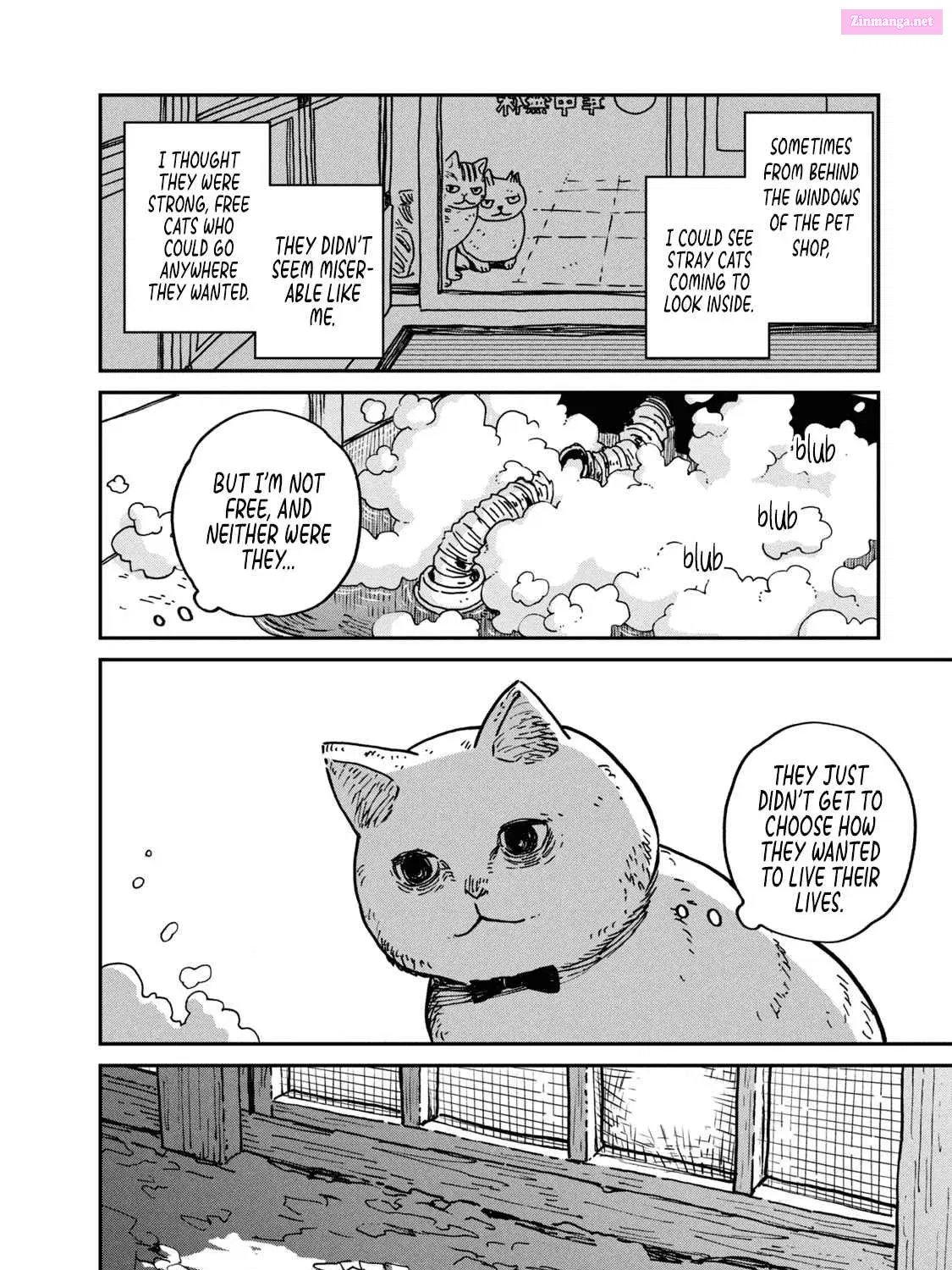 Tsureneko:  Maruru to Hachi Zinmanga X Chapter 1 Page 48