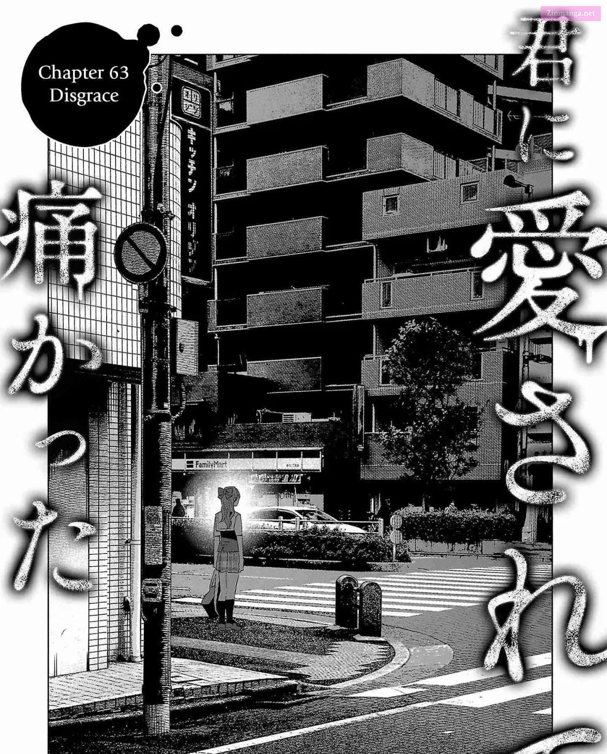 Kimi ni Aisarete Itakatta Zinmanga X Chapter 63 Page 1