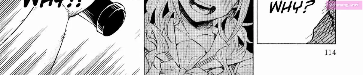 Kimi ni Aisarete Itakatta Zinmanga X Chapter 13 Page 14
