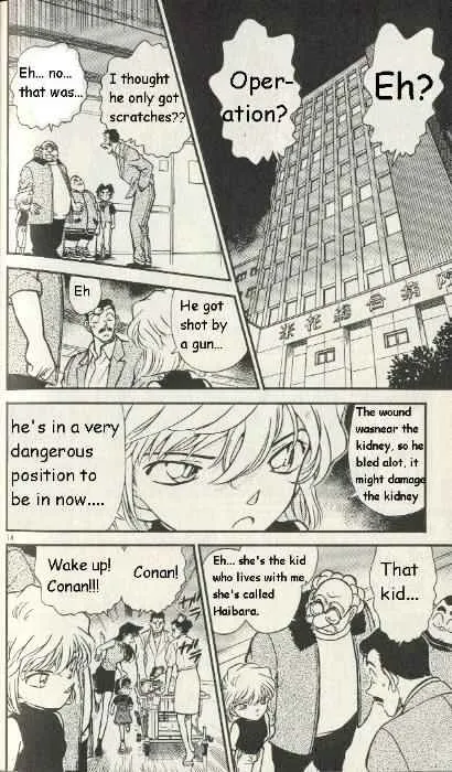 Detective Conan Zinmanga X Chapter 253 Page 14