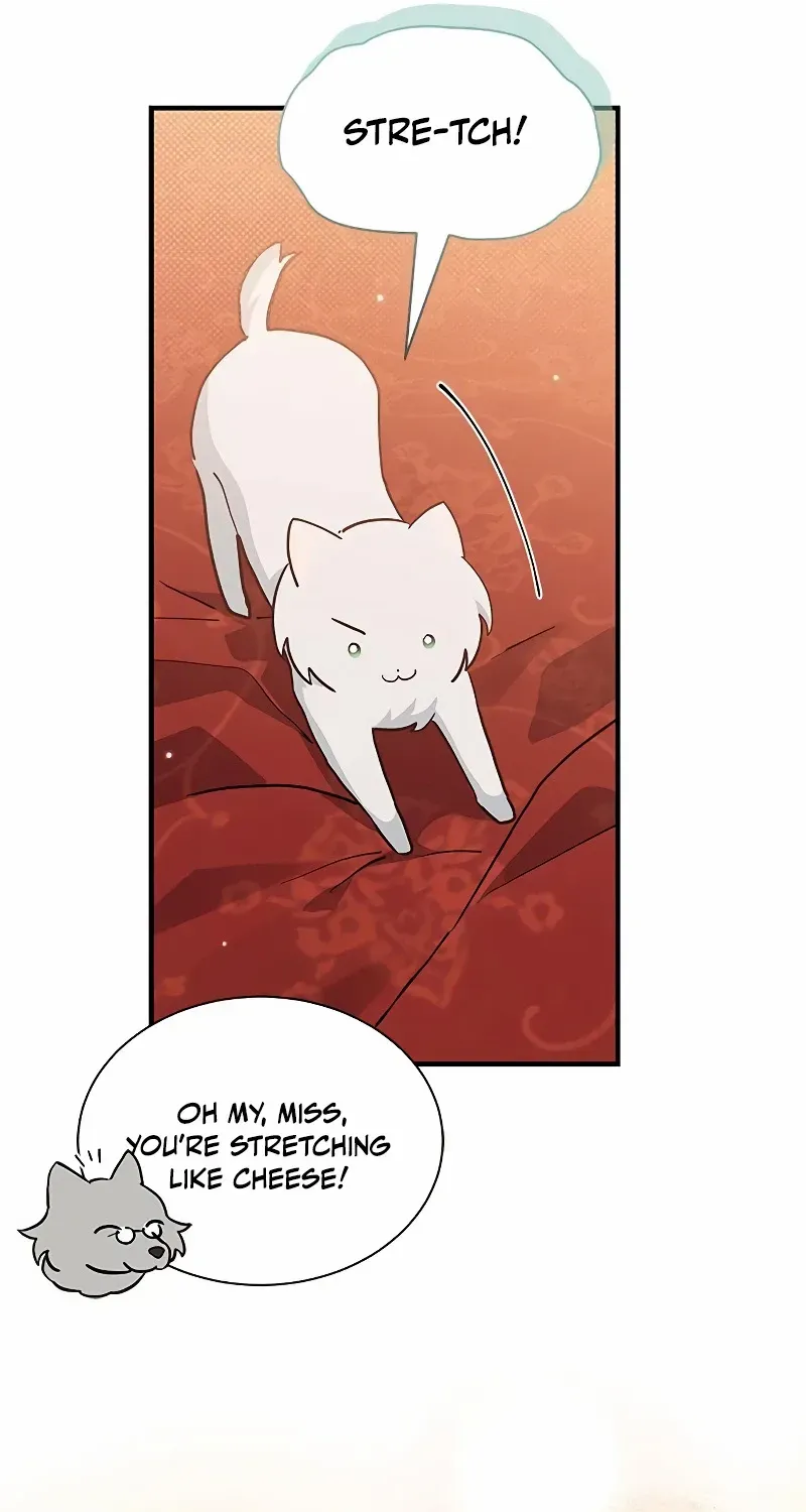 You’re a Cat, But You’ve Been Adopted by a Wolf Family? Zinmanga X Chapter 19 Page 54