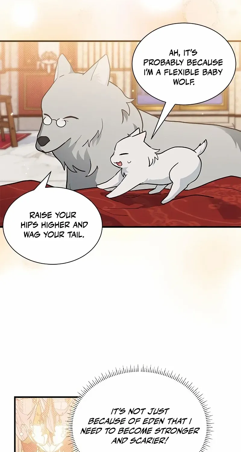 You’re a Cat, But You’ve Been Adopted by a Wolf Family? Zinmanga X Chapter 19 Page 55
