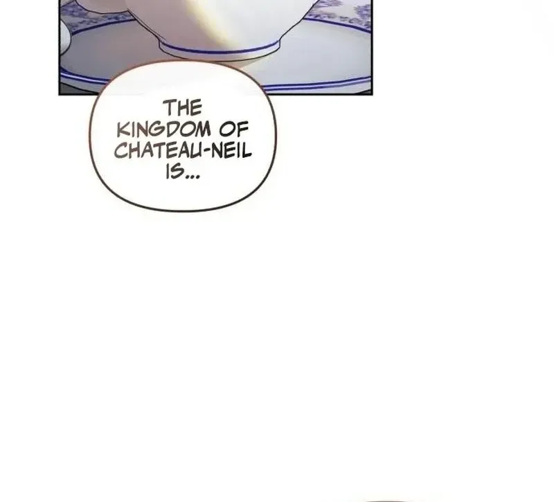 Even Though She’s The Substitute Queen, She Spent The First Night With Him Zinmanga X Chapter 31 Page 17