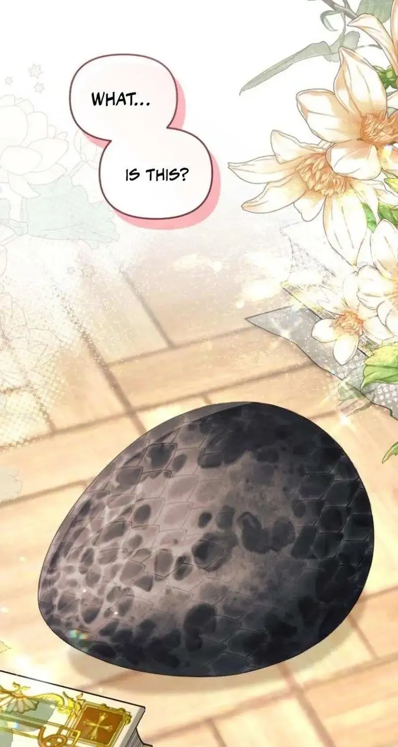 Even Though She’s The Substitute Queen, She Spent The First Night With Him Zinmanga X Chapter 28 Page 44