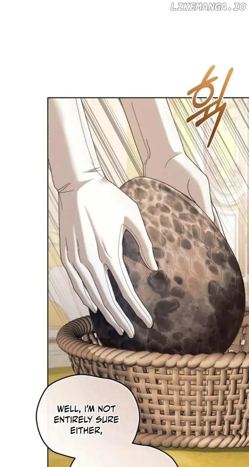 Even Though She’s The Substitute Queen, She Spent The First Night With Him Zinmanga X Chapter 28 Page 49