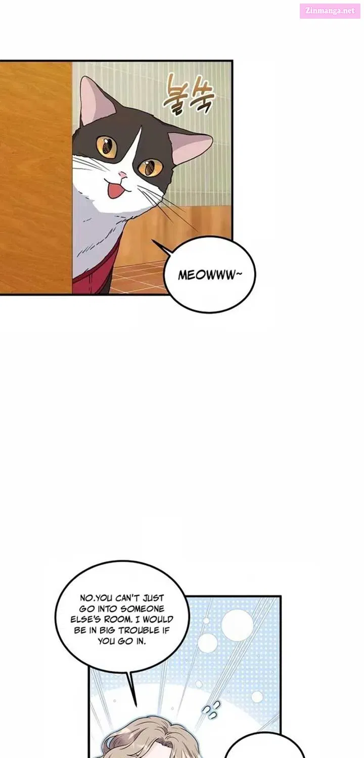 Home, Bitter Home, Motel California Zinmanga X Chapter 12 Page 15