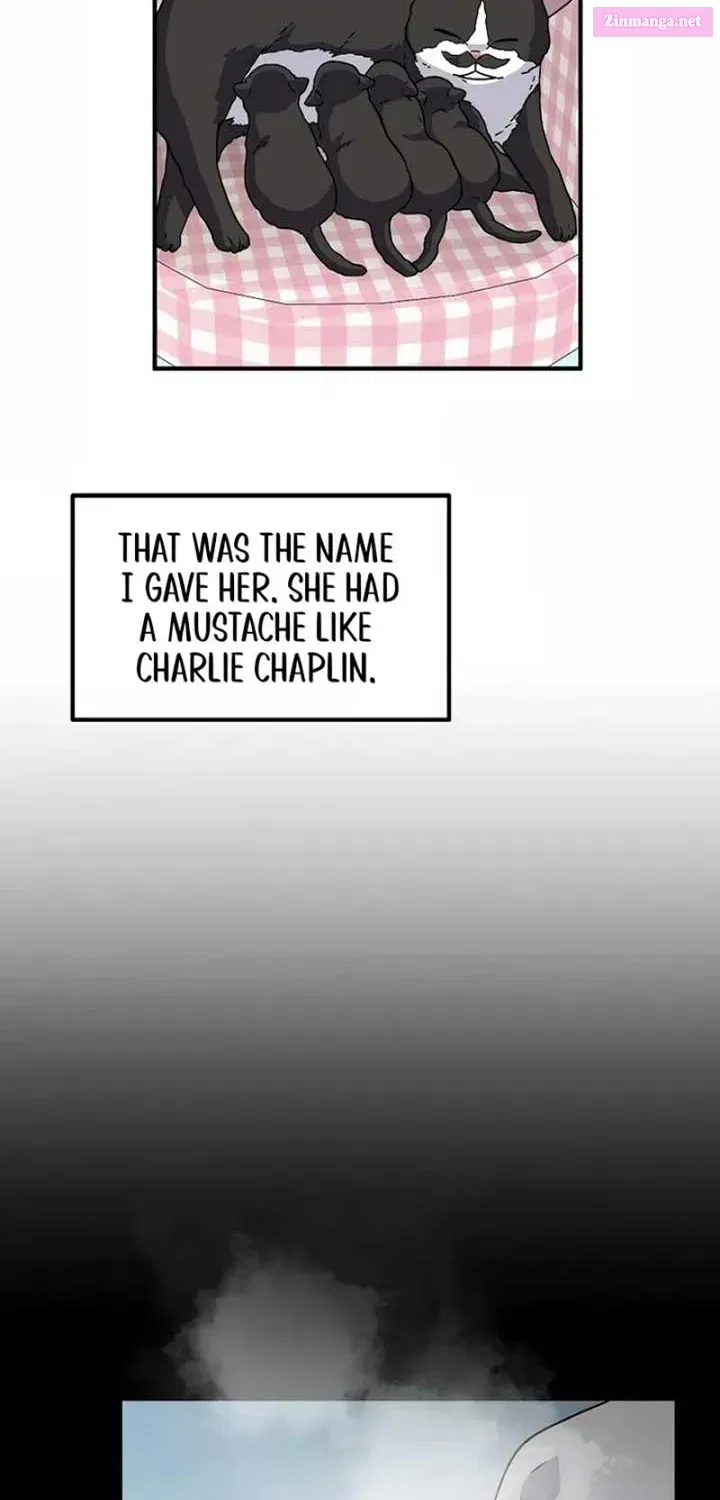 Home, Bitter Home, Motel California Zinmanga X Chapter 7 Page 20