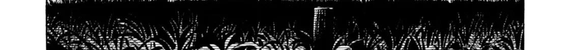 Gabai Zinmanga X Chapter 58 Page 38
