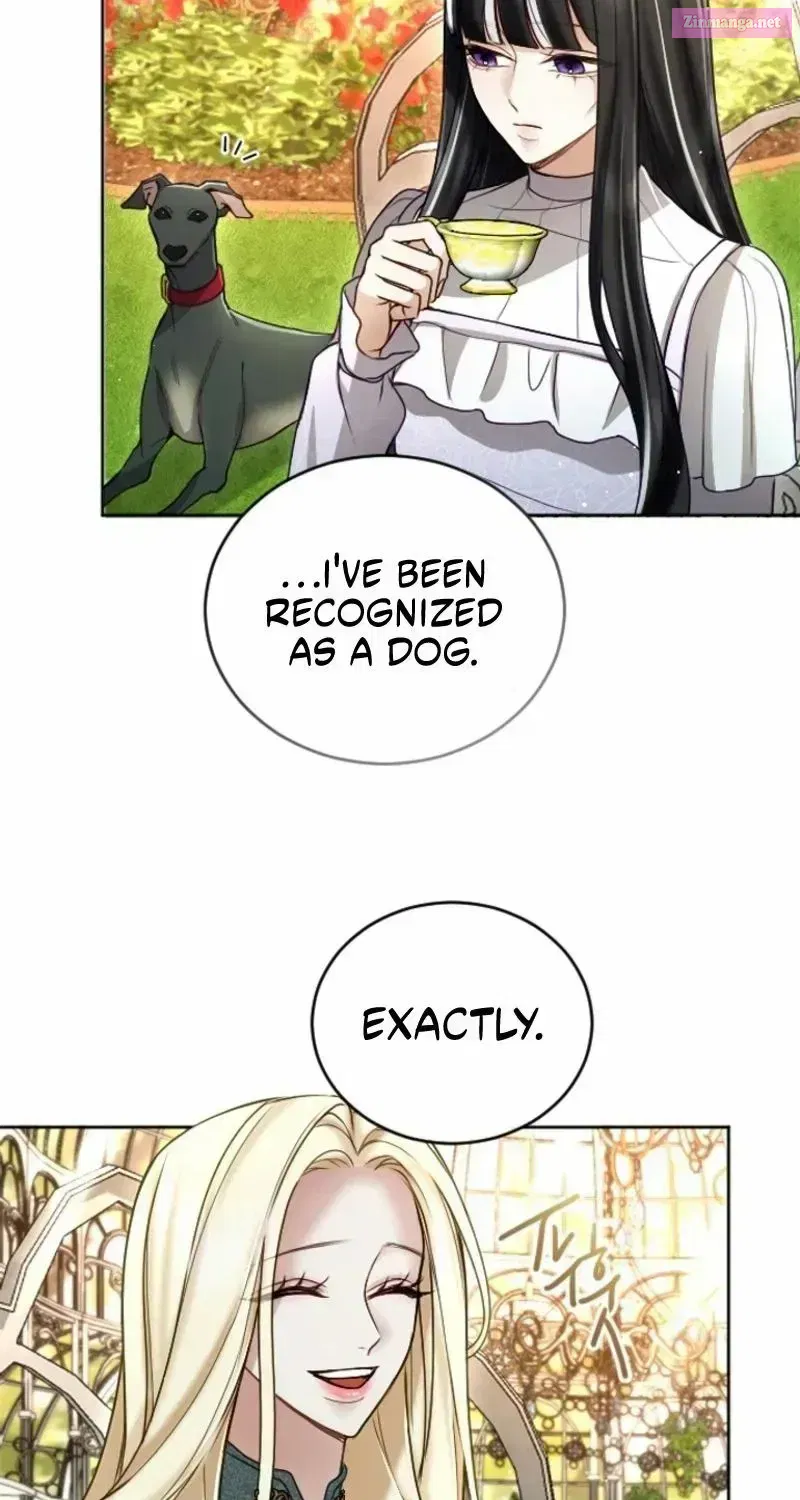 ‏I Will Fall With The Emperor Zinmanga X Chapter 121 Page 36