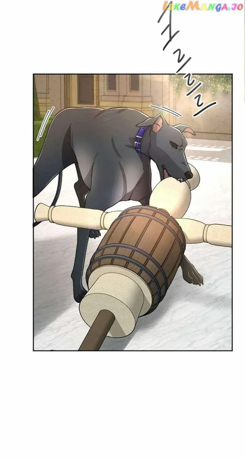 ‏I Will Fall With The Emperor Zinmanga X Chapter 74 Page 12