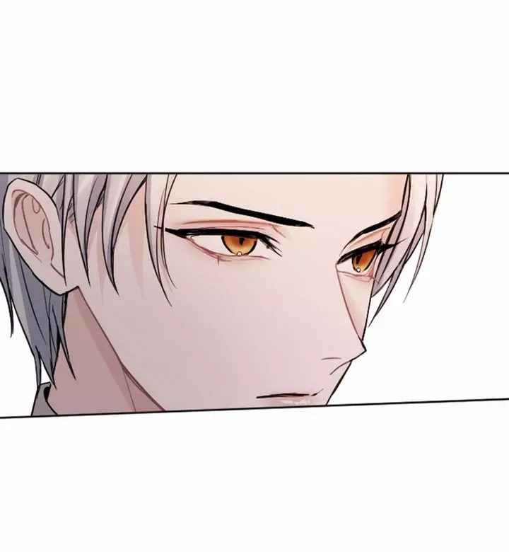 ‏I Will Fall With The Emperor Zinmanga X Chapter 52 Page 28