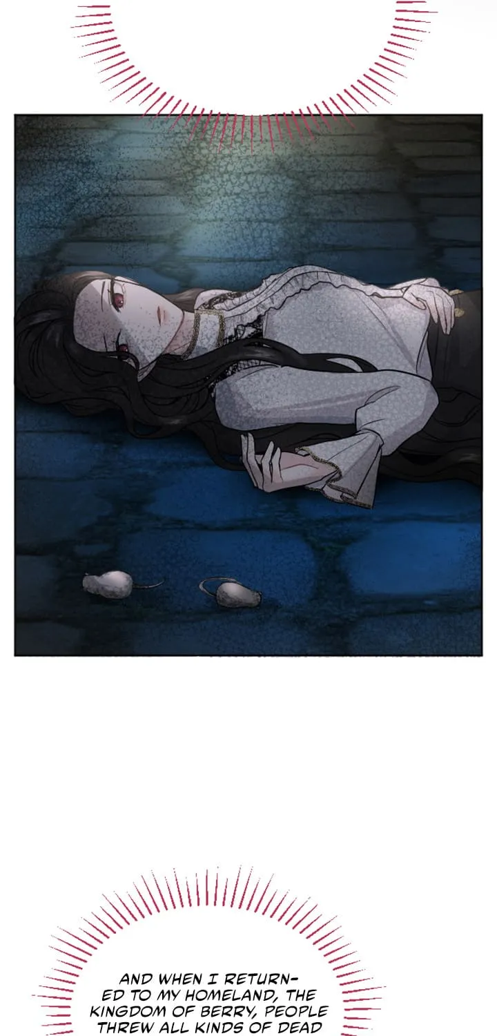 ‏I Will Fall With The Emperor Zinmanga X Chapter 19 Page 25