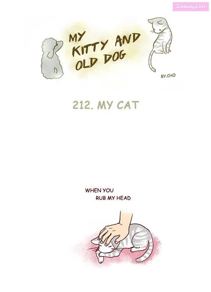 My Kitty and Old Dog Zinmanga X Chapter 212 Page 1