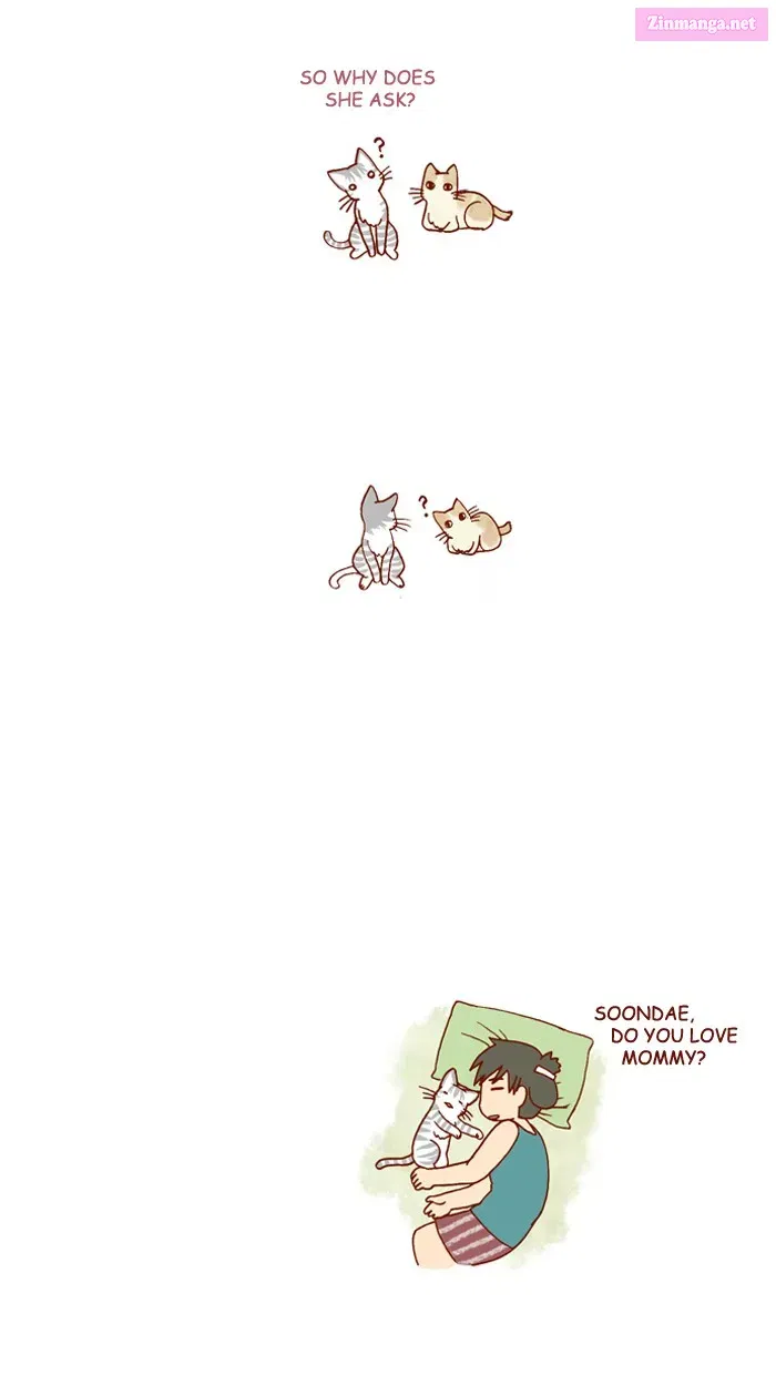 My Kitty and Old Dog Zinmanga X Chapter 166 Page 5