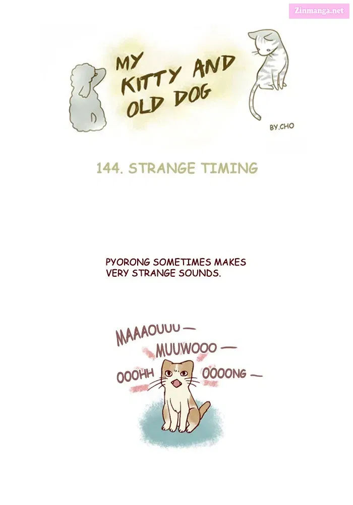 My Kitty and Old Dog Zinmanga X Chapter 144 Page 1