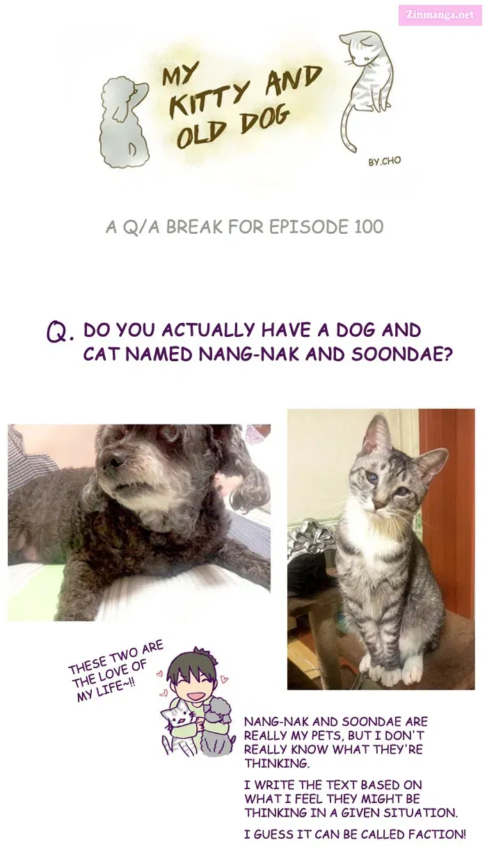 My Kitty and Old Dog Zinmanga X Chapter 100 Page 1